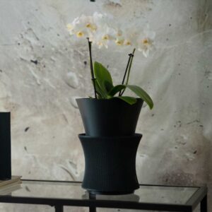 Bloomind - immagine 3